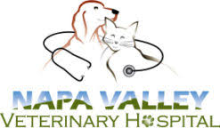 2999 solano ave, napa, california 94558, united states. Napa Valley Veterinary Hospital Professional Veterinary Health Care