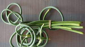 Scapes are great for grilling or using in pestos or dips. How To Cook With Garlic Scapes Bon Appetit Bon Appetit