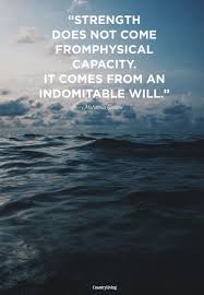 20 Quotes About Strength To Comfort You During Hard Times Quotes About Strength Motivational Words Strength