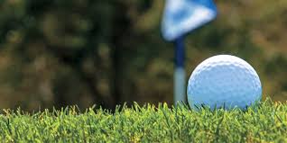 Bird Bouncing Golf Ball Fake Golf Tips From Florida Pros Marriott Bonvoy Traveler