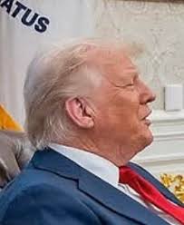 Trump Assassination Attempt Authenticity and Potential Motives