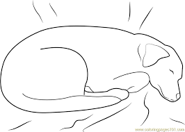 Check spelling or type a new query. Dog Sleeping On Bed Coloring Page For Kids Free Dog Printable Coloring Pages Online For Kids Coloringpages101 Com Coloring Pages For Kids