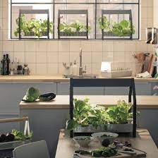 You don't need soil, sunlight or even a spot outside! Ikea Launches Hydroponic Indoor Gardening Kit Ideal Home