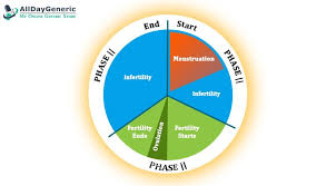 Menstrual Cycle Stages Get To Know 4 Phases Of Women