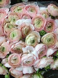 Pin On Flowers Florist Store