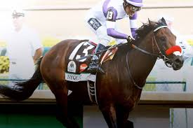 He is affiliated with knapp medical center. Former South Surrey Jockey Mario Gutierrez Aims For Third Kentucky Derby Crown Peace Arch News