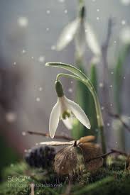 Pin On Nature