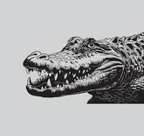 realista cocodrilo dibujo precisión y profundidad 65674390 ...
