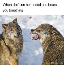 50 Period Memes That Will Make You Laugh Through That Pain Bored Panda Nowadays, hilarious memes are spreading like wildfire all over the internet, and smart marketers use the opportunity to use these viral fragments of they are funny, smart and great for communication. 50 period memes that will make you