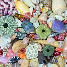 Maybe you would like to learn more about one of these? Mosaic Puzzles Wooden Jigsaw Puzzle Ocean Treasure 204 Unique Pieces Made In The Usa Buy Online In Sri Lanka At Desertcart Lk Productid 69665351