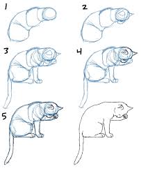 Image vectorielle d'un chat sur fond blanc. 1001 Exemples Et Tutoriels Comment Dessiner Un Chat