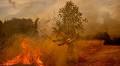 Current Wildfires Rage in Spain as Heatwave Temperatures Subside