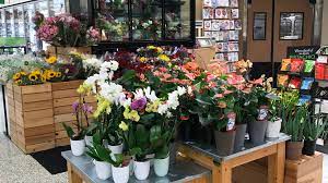 Bel air belle foods bellos shurfine ben lomond market bend food 4 less berkeley bowl berkshire mt country store bert's red apple market best value supermarket best yet bethel pk shop n save beverage & more inc. Revelations And Solutions Lessons Learned During The Pandemic Produce Business