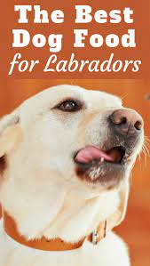 What S The Best Dog Food For Labs The Truth Is There Isn T A Single Best Food Every Dog Is Different But W Best Dog Food Dog Training Positive Dog Training