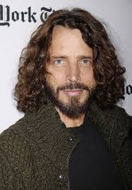 Professor rob shepherd is an engaged learning + research faculty fellow at cornell university. Chris Cornell Picture 33 The 2012 Big Day Out Festival
