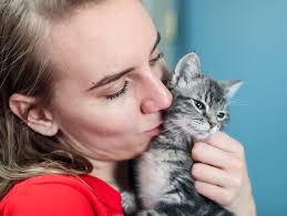Adopt a cat & save the lives of a homeless kitten. Find A Pet Adoption Center Near You Petsmart Charities