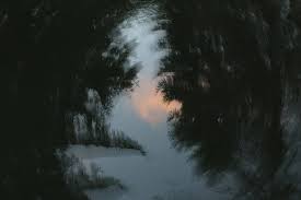 Tempete du siecle a melbourne. Il Y A 20 Ans La Tempete Du Siecle Frappe Les Yvelines Yvelines Infos