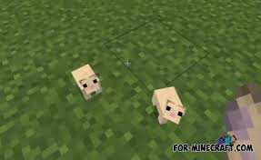 Download minecraft pe 1.17, 1.17.0, 1.17.50 mods: Expansion Plus Addon V3 0 For Minecraft Pe 1 14 1 15 1 16