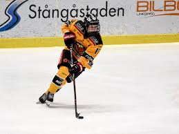 We did not find results for: 2020 21 Sdhl Preview The Ice Garden
