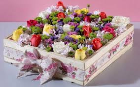 We deliver flowers to you,even to the remotest part of india,without compromising on our quality standards. Ferns N Petals Flowering In Different Directions The Hindu Businessline
