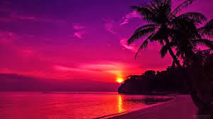 Wallpapers Computer Sunset Times 2021 Live Wallpaper Hd Beach Sunset Wallpaper Sunset Wallpaper Sunset Images