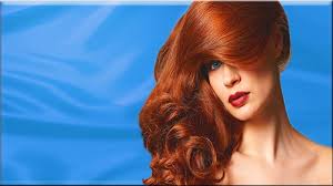 HD ginger head wallpapers