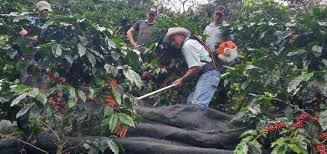 Ante todos los desafíos...