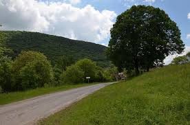 Ga je mee op safari op de poesta? Natuur Bos Regio Bomen Toeristische Attracties Groen Hongaars Landschap Hongarije Pikist
