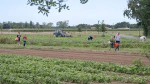 Vente A La Ferme La Cueillette Autorisee Sous Conditions En Sarthe