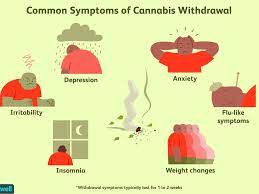 We did not find results for: Marijuana Withdrawal Symptoms Timeline Treatment