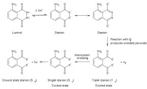 How does luminol detect blood? Luminol Chemistry Libretexts