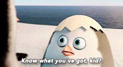 The best gifs are on giphy. Best Madagascar Penguins Gifs Gfycat