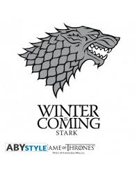 Vaso Casa Stark Juego De Tronos