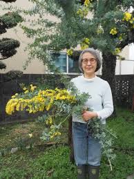 熊本への移住、その決意と実際の苦労｜Real Sound｜リアルサウンド ブック