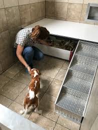 Maybe you would like to learn more about one of these? Designing Dog Kennels With Behavior And Welfare Considerations In Mind
