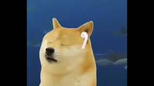 Trending and popular doge templates! Doge Listening With A Earphone Cheems Doge Meme Template Youtube