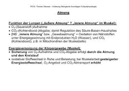 Das produkt der äußeren atmung ist der atem. Atmung Funktion Der Lungen Aussere Atmung Innere Atmung