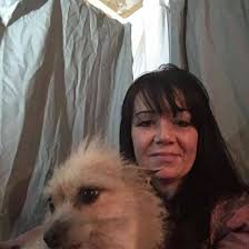 Lost dog in Thornton, Colorado, with harness, running in the street