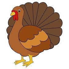 How To Draw A Turkey - Really Easy Drawing Tutorial In 2021 Turkey Drawing Easy Drawings Thanksgiving Drawings