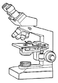 This stands by resting on the base and supports the stage. Microscopes A Binocular Dissecting Microscope B Binocular Download Scientific Diagram