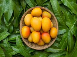 Check spelling or type a new query. This Mango Leaves Concoction Promises To Cure Diabetes Times Of India