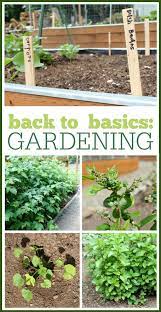 Back To Basics Gardening Learn How To Garden In No Time Organic Vegetable Garden Gardening For Beginners Frugal Gardening