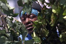 Original Bushman lives