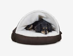 Kuranda chew proof all aluminum tough dog beds. Best Dog Beds According To Dog Experts 2021 The Strategist New York Magazine