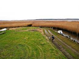 Maybe you would like to learn more about one of these? Randers Fjord Wikipedia