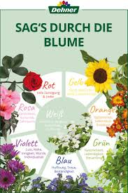 Die Sprache Der Blumen Sprache Der Blumen Sommerblumen Blumen Fur Garten