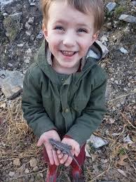 Hiking in Shamokin PA, found skinks and lizards