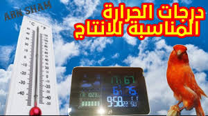 في الصباح لارتفاع درجة حرارة الارض درجة حرارة الهواء تصل إلى +25.+37°c, نقطة الندى: Ø¯Ø±Ø¬Ø© Ø§Ù„Ø­Ø±Ø§Ø±Ø© Ø§Ù„Ù…Ù†Ø§Ø³Ø¨Ø© Ù„Ù„Ø§Ù†ØªØ§Ø¬ ÙˆÙ…Ø§Ù‡ÙŠ Ø¯Ø±Ø¬Ø§Øª Ø§Ù„Ø­Ø±Ø§Ø±Ø© Ø§Ù„Ù…Ù†Ø§Ø³Ø¨Ø© Ù„Ø¬Ù…ÙŠØ¹ Ù…ÙˆØ§Ø³Ù… Ø§Ù„ÙƒÙ†Ø§Ø±ÙŠ ÙˆØ¨Ø¹Ø¶ Ø§Ù„Ù…Ø¹Ù„ÙˆÙ…Ø§Øª Ø§Ù„Ù…Ù‡Ù…Ø© Youtube