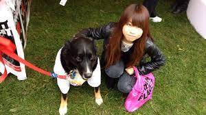 Join sittercity to contact pet sitters, check references, run background checks and read reviews. Nina Pet Sitter In Mitte Pawshake De