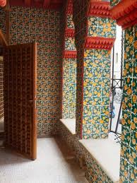 Dog Photography Casas